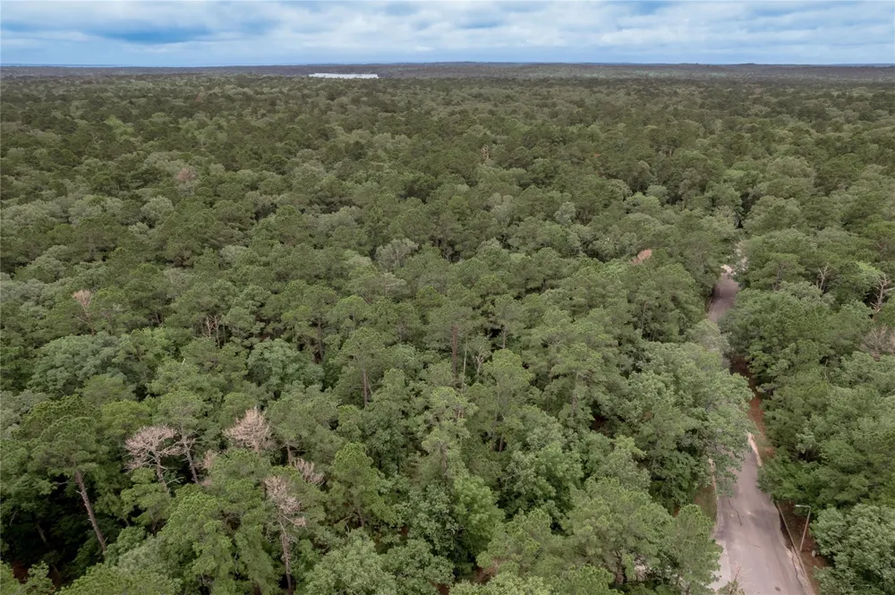 9 Rohm Place Huntsville, TX 77320