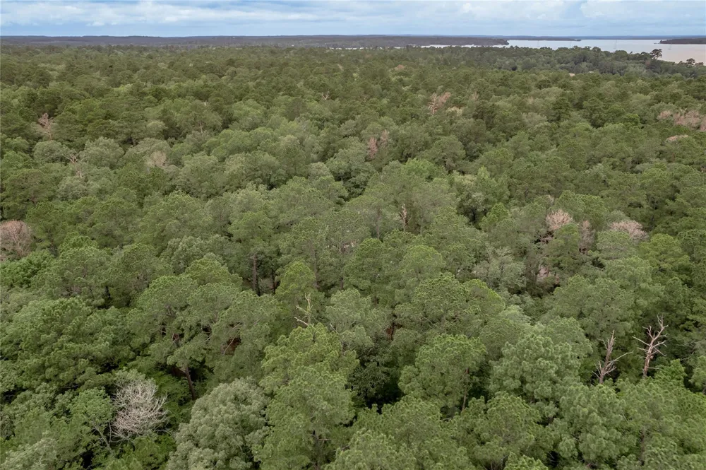 9 Rohm Place Huntsville, TX 77320