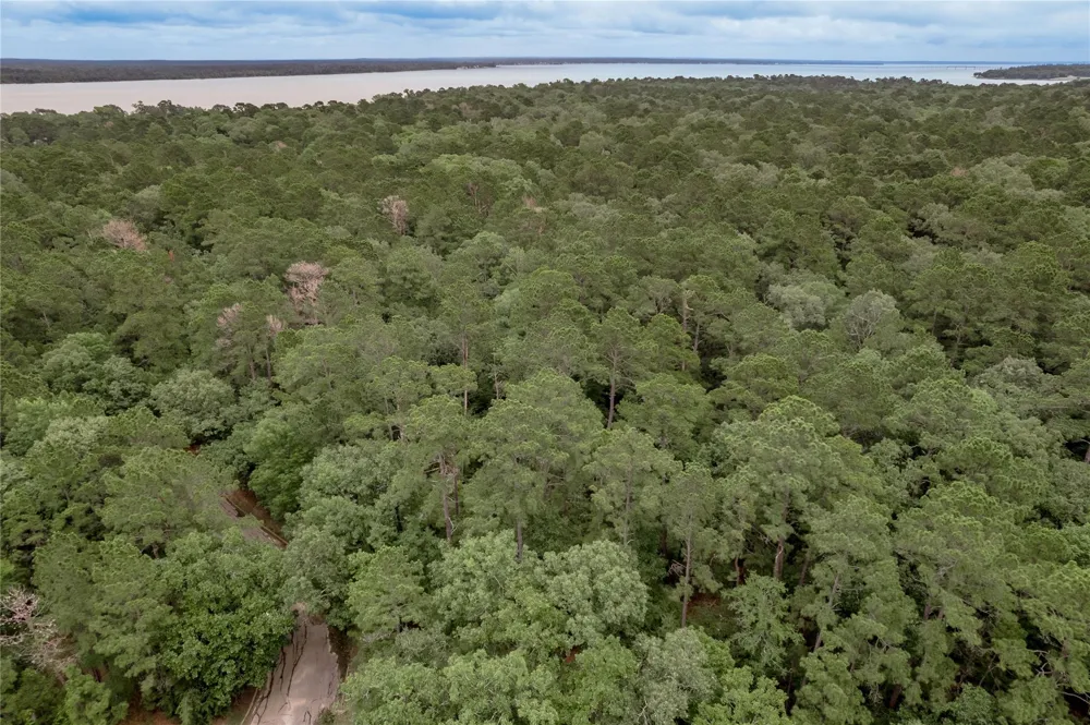 9 Rohm Place Huntsville, TX 77320