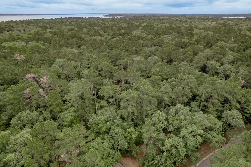 9 Rohm Place Huntsville, TX 77320