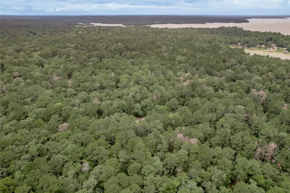9 Rohm Place Huntsville, TX 77320