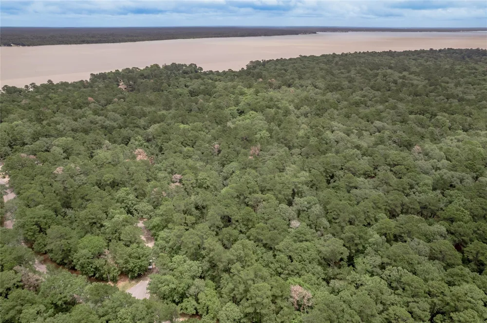 9 Rohm Place Huntsville, TX 77320