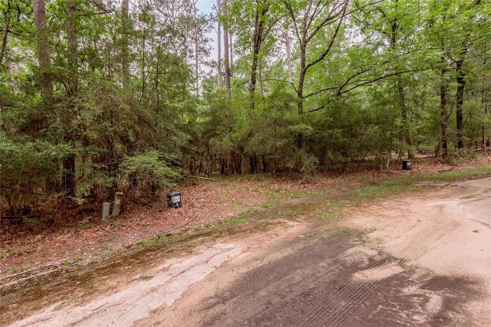 9 Rohm Place Huntsville, TX 77320