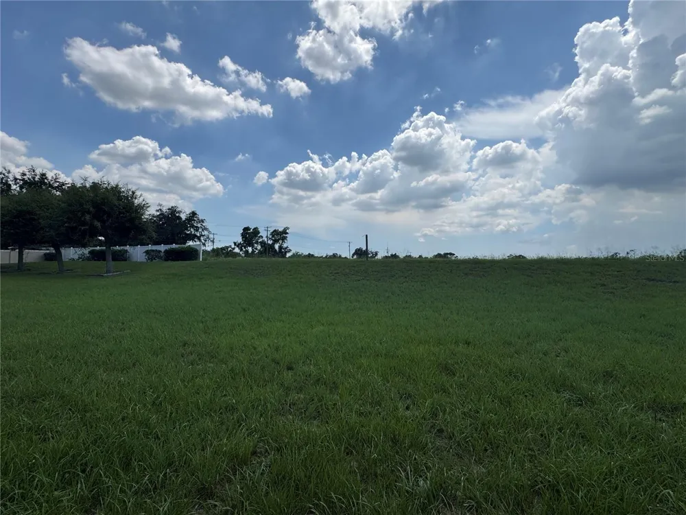 317 DOWN PINE DRIVE Seffner, FL 33584