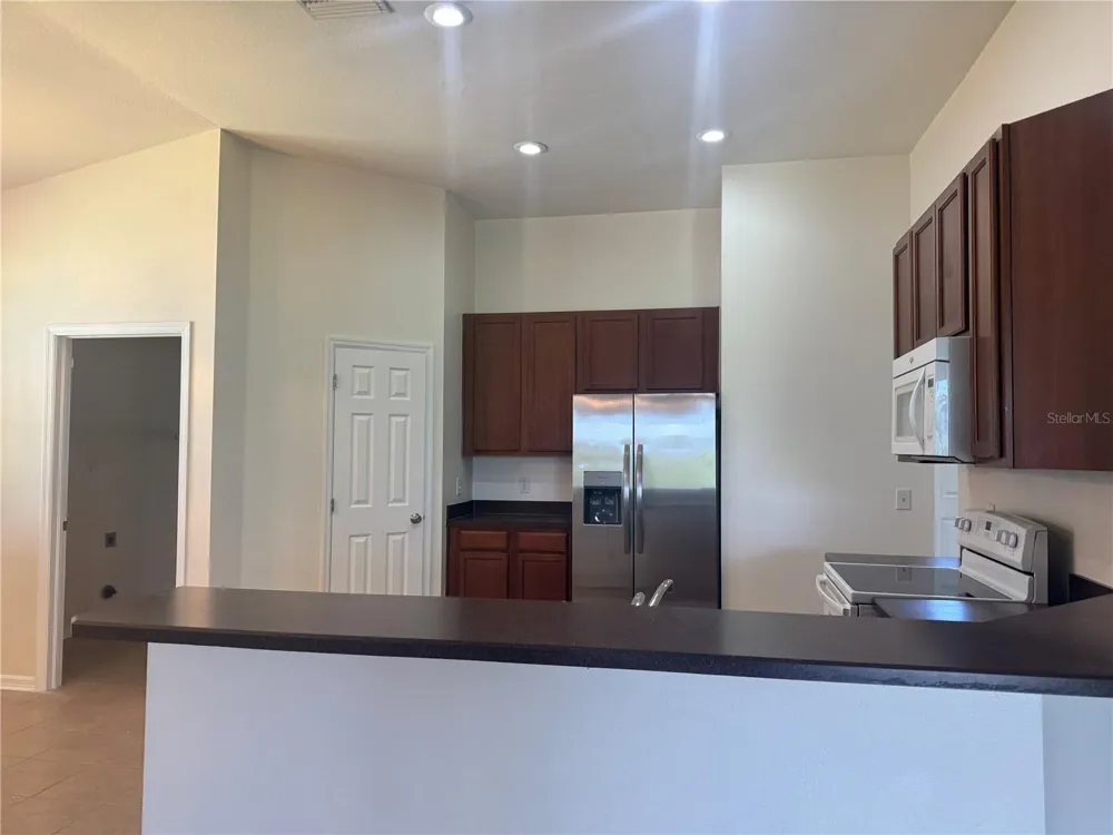 317 DOWN PINE DRIVE Seffner, FL 33584
