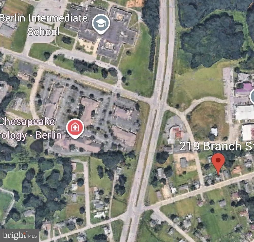 219 BRANCH STREET Berlin, MD 21811