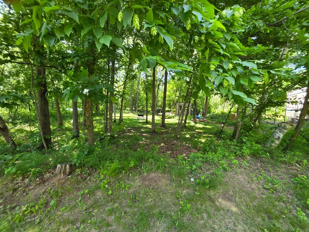 5098 177th Street Ogilvie, MN 56358