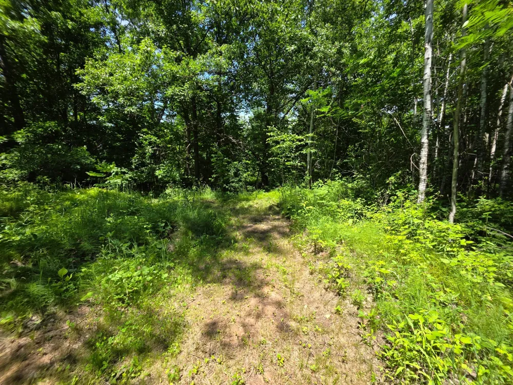 5098 177th Street Ogilvie, MN 56358