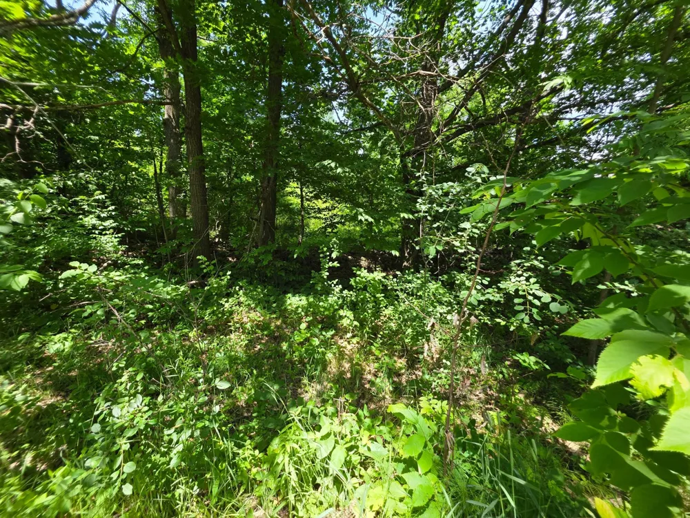 5098 177th Street Ogilvie, MN 56358