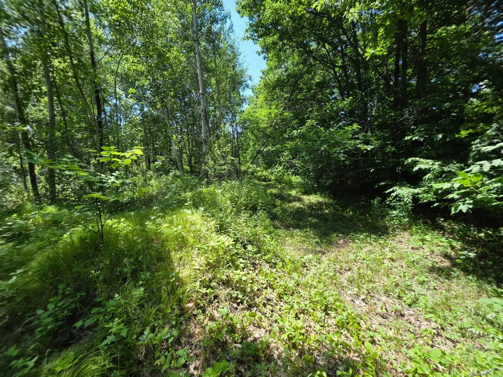 5098 177th Street Ogilvie, MN 56358