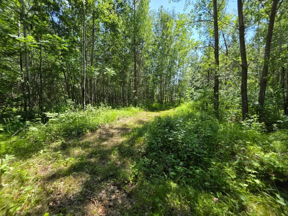 5098 177th Street Ogilvie, MN 56358