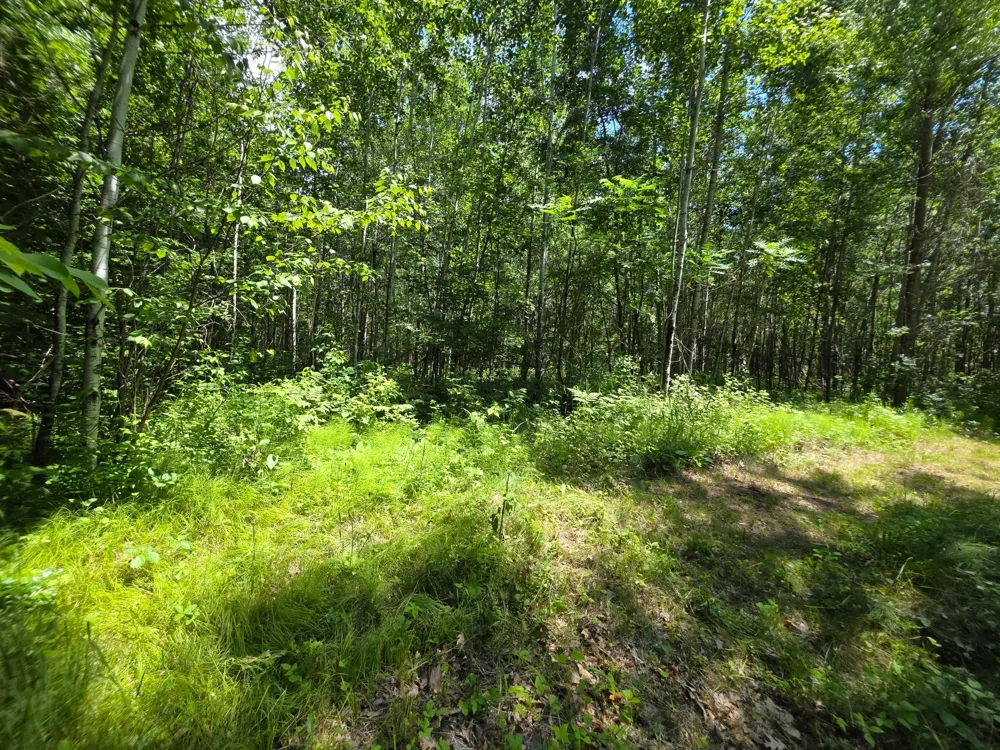 5098 177th Street Ogilvie, MN 56358