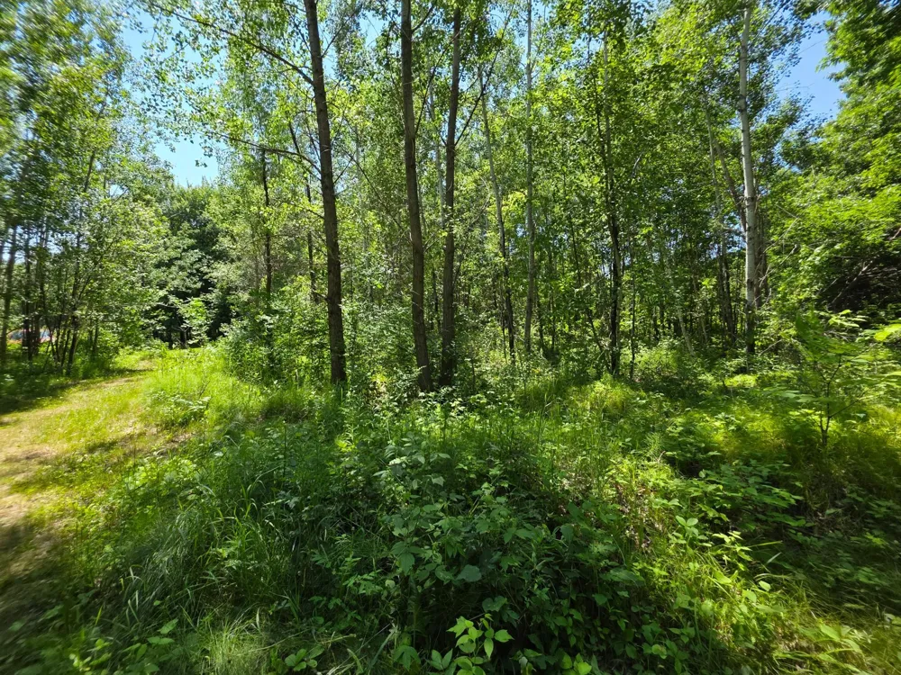5098 177th Street Ogilvie, MN 56358