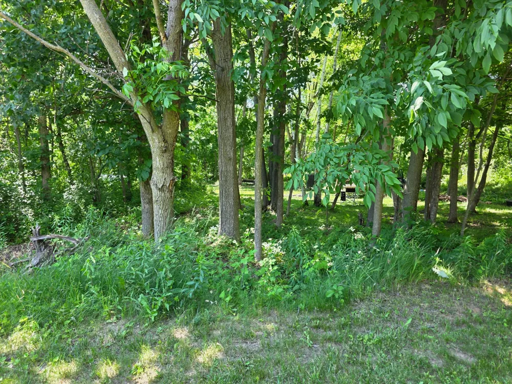 5098 177th Street Ogilvie, MN 56358