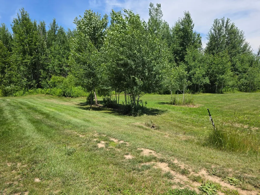5098 177th Street Ogilvie, MN 56358