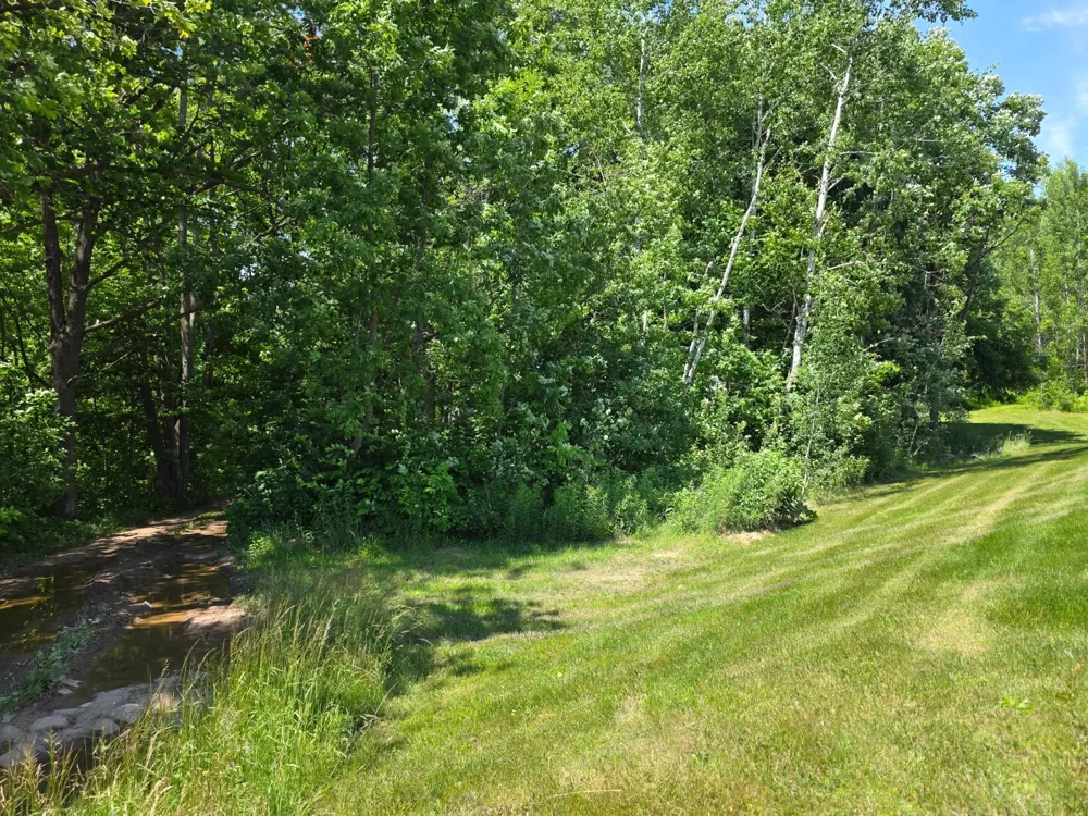 5098 177th Street Ogilvie, MN 56358