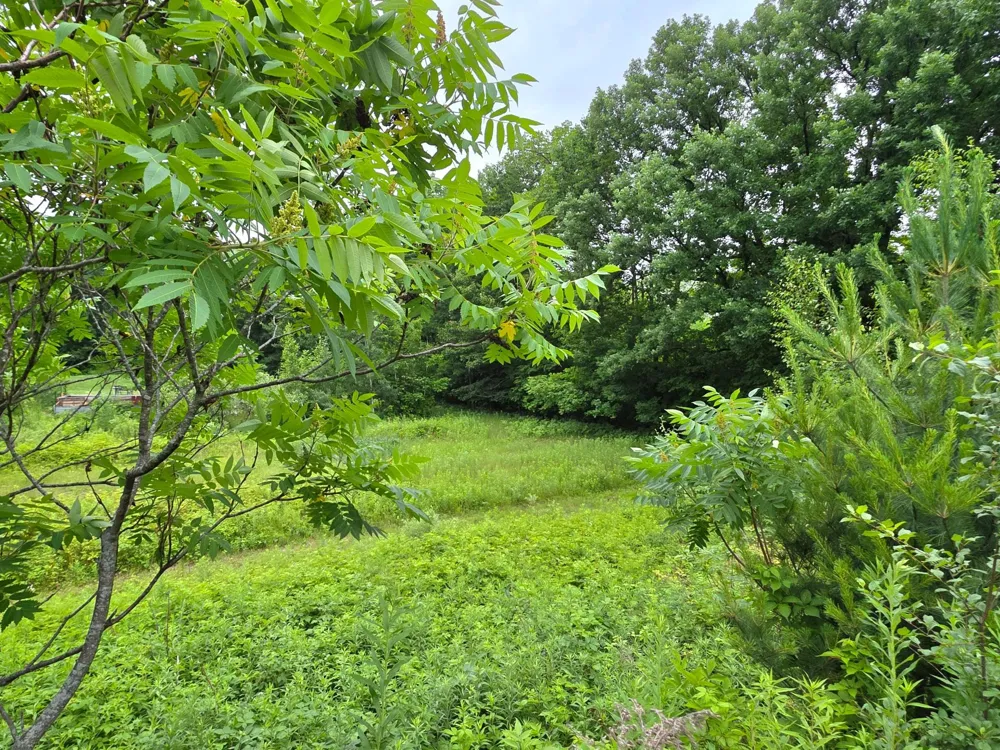 5098 177th Street Ogilvie, MN 56358