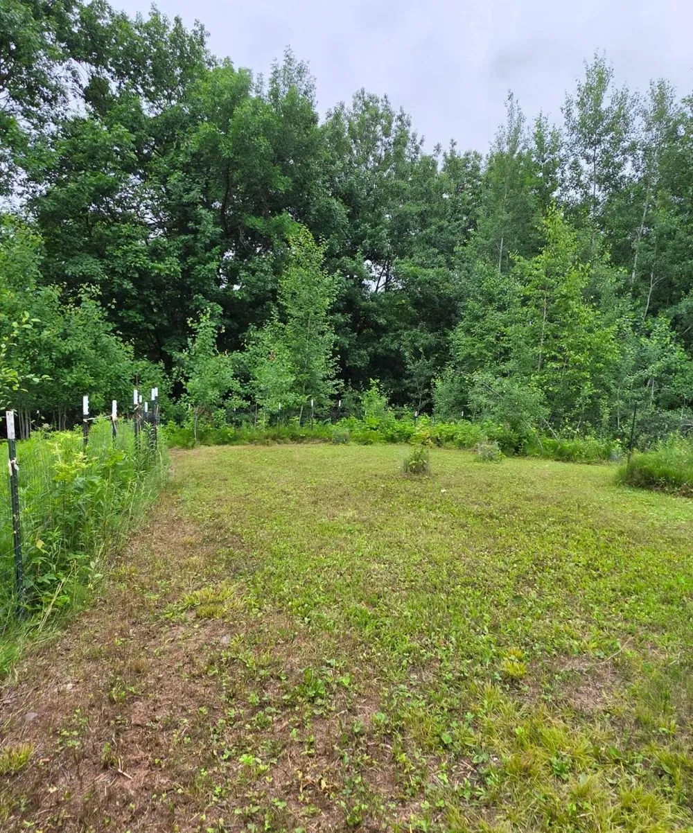 5098 177th Street Ogilvie, MN 56358