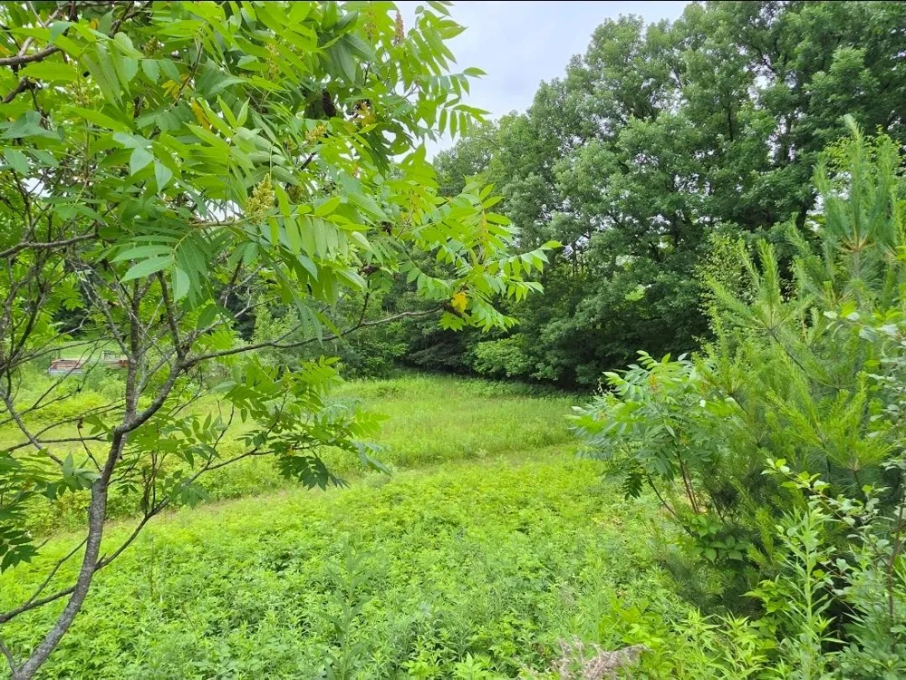5098 177th Street Ogilvie, MN 56358