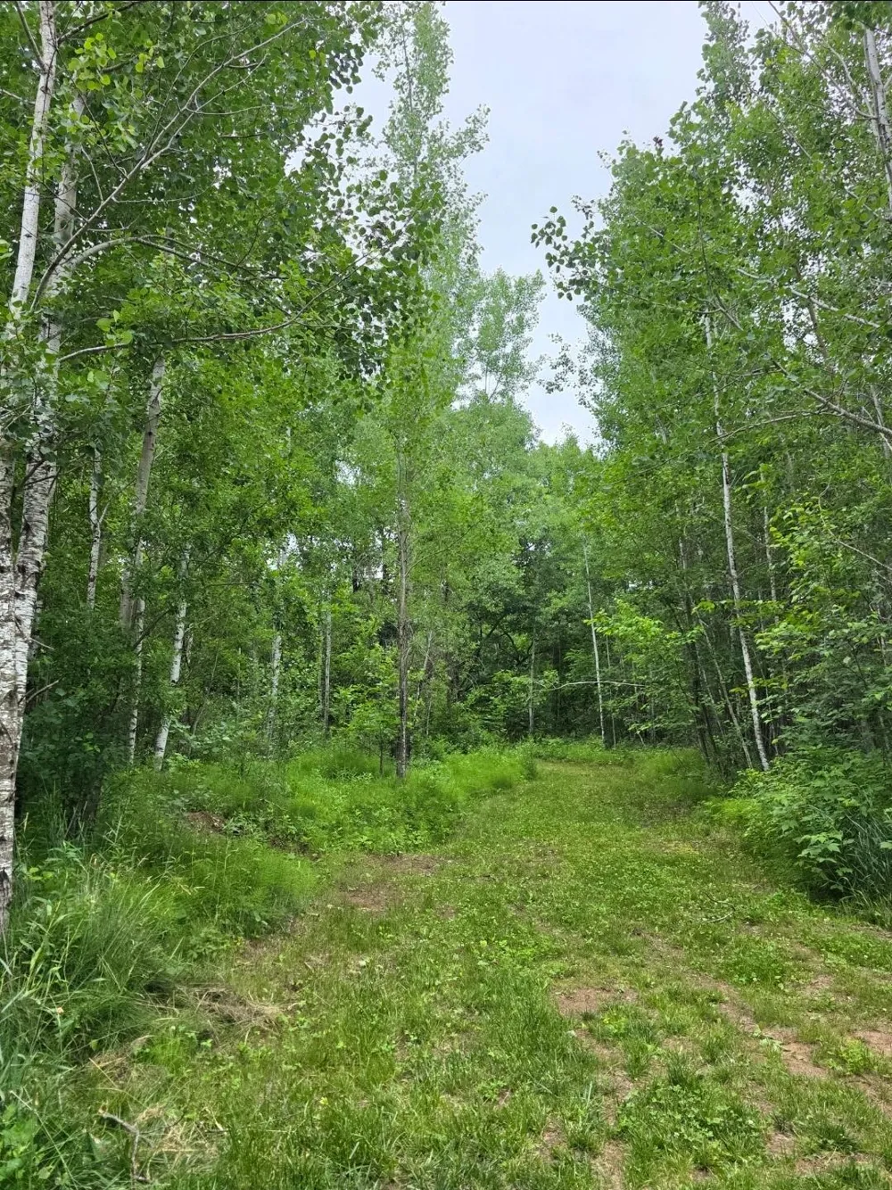 5098 177th Street Ogilvie, MN 56358