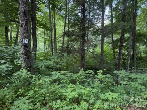 Lot 37 Odalu Trail #37