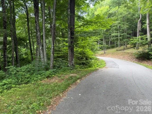 Lot 37 Odalu Trail #37 Maggie Valley, NC 28751