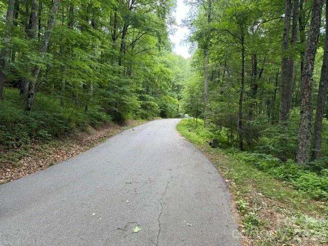 Lot 37 Odalu Trail #37 Maggie Valley, NC 28751