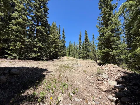 339 Silverheels Place