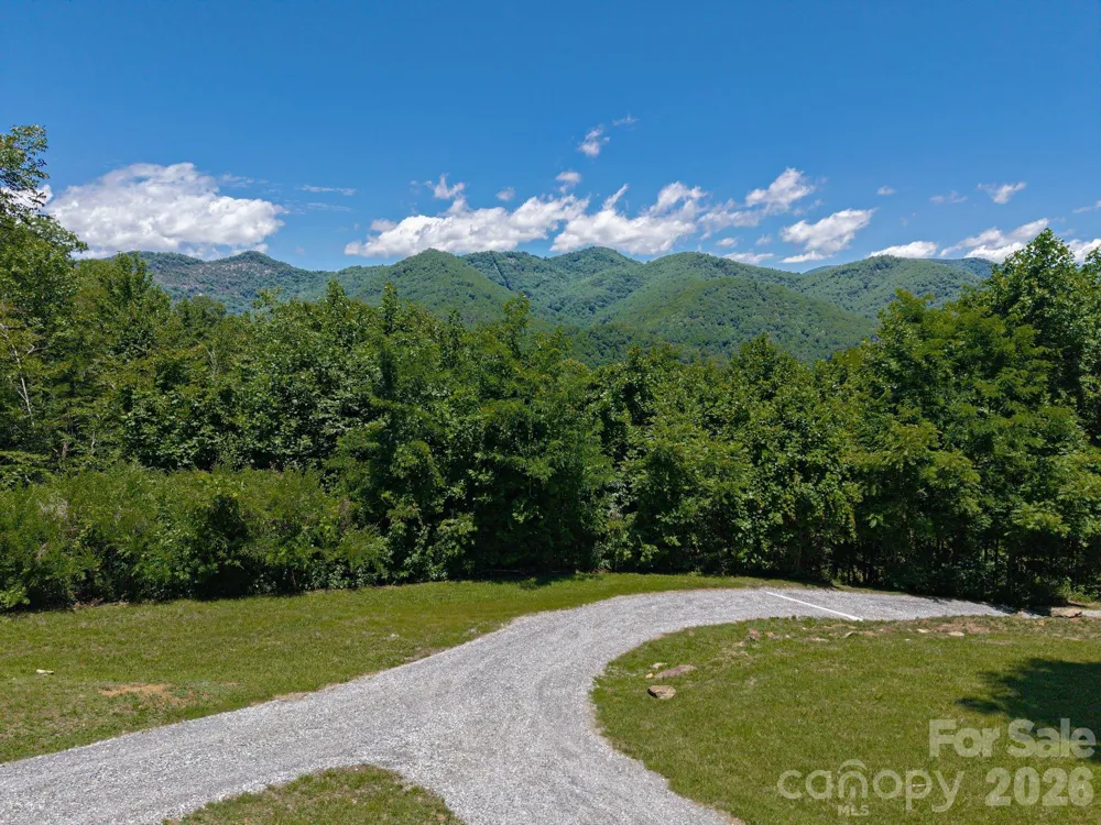 59 W Canoe Creek Drive #3 Tuckasegee, NC 28783