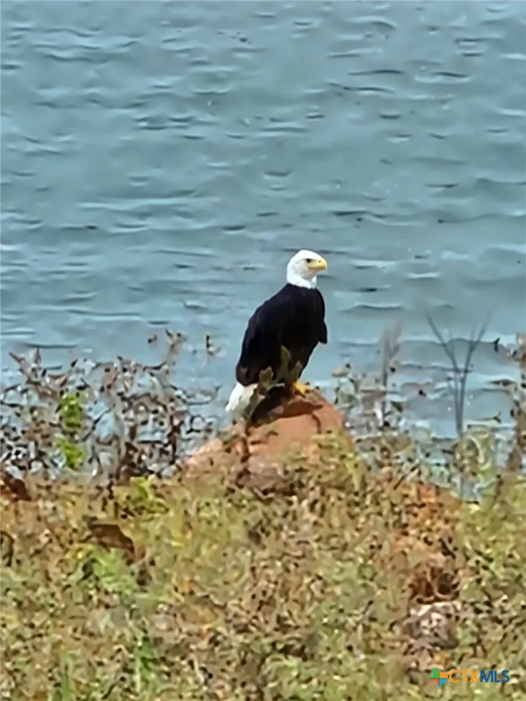 100 Palm Cove Buchanan Dam, TX 78609
