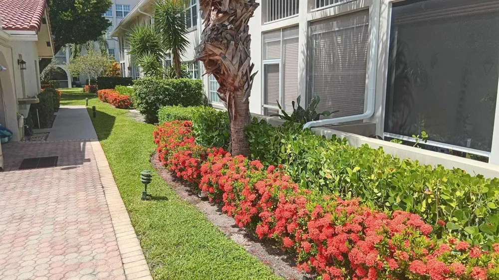 250 NE 20th Street #3080 Boca Raton, FL 33431