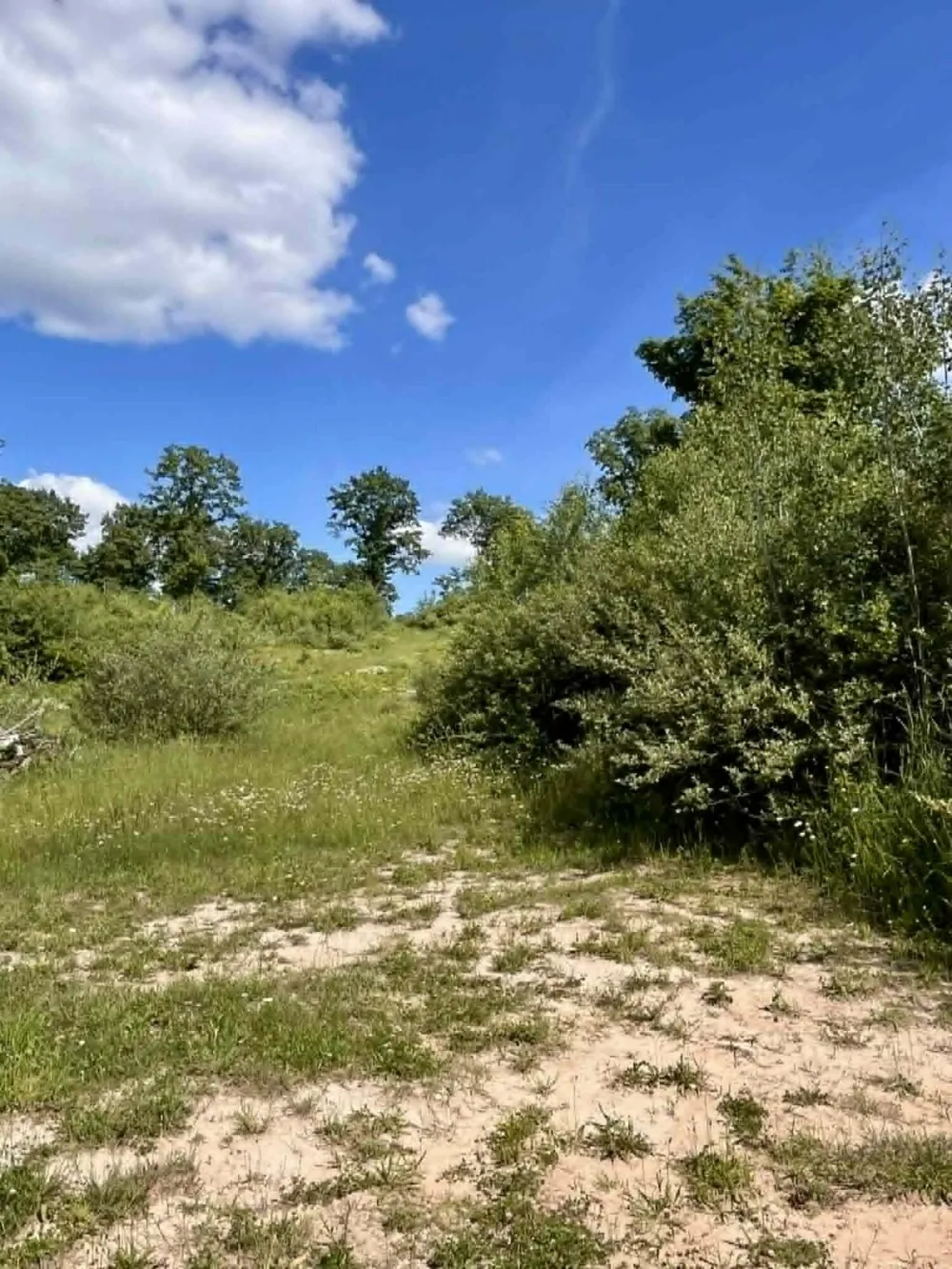 444 S 132nd Avenue Shelby, MI 49455