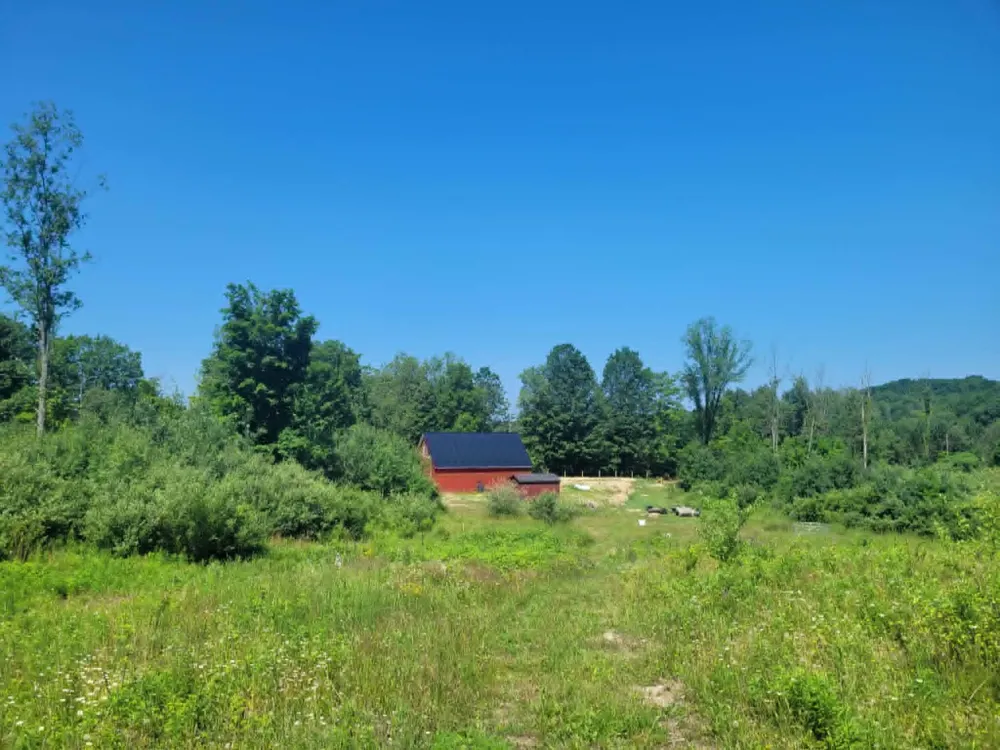 444 S 132nd Avenue Shelby, MI 49455