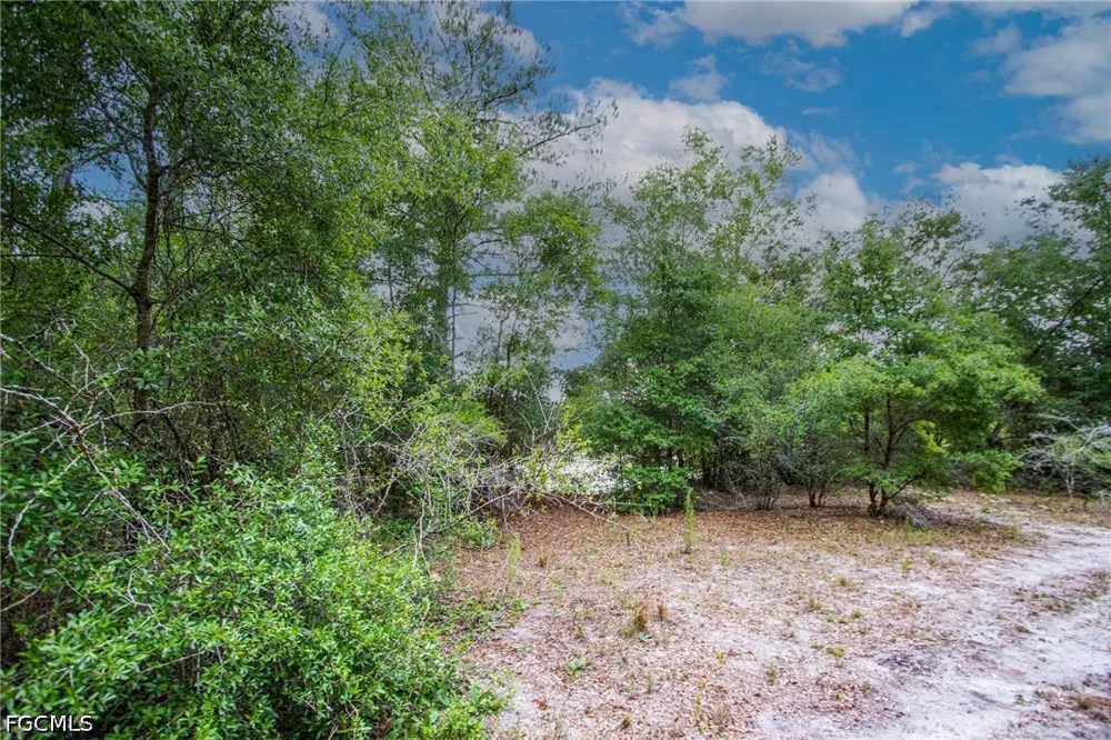 August Avenue Webster, FL 33597