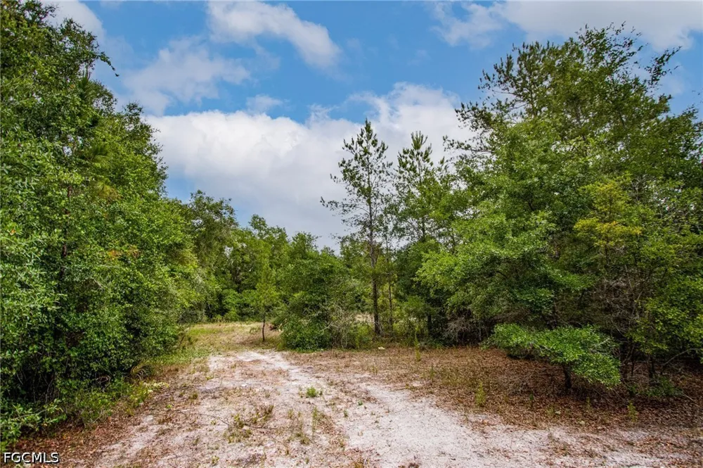 August Avenue Webster, FL 33597