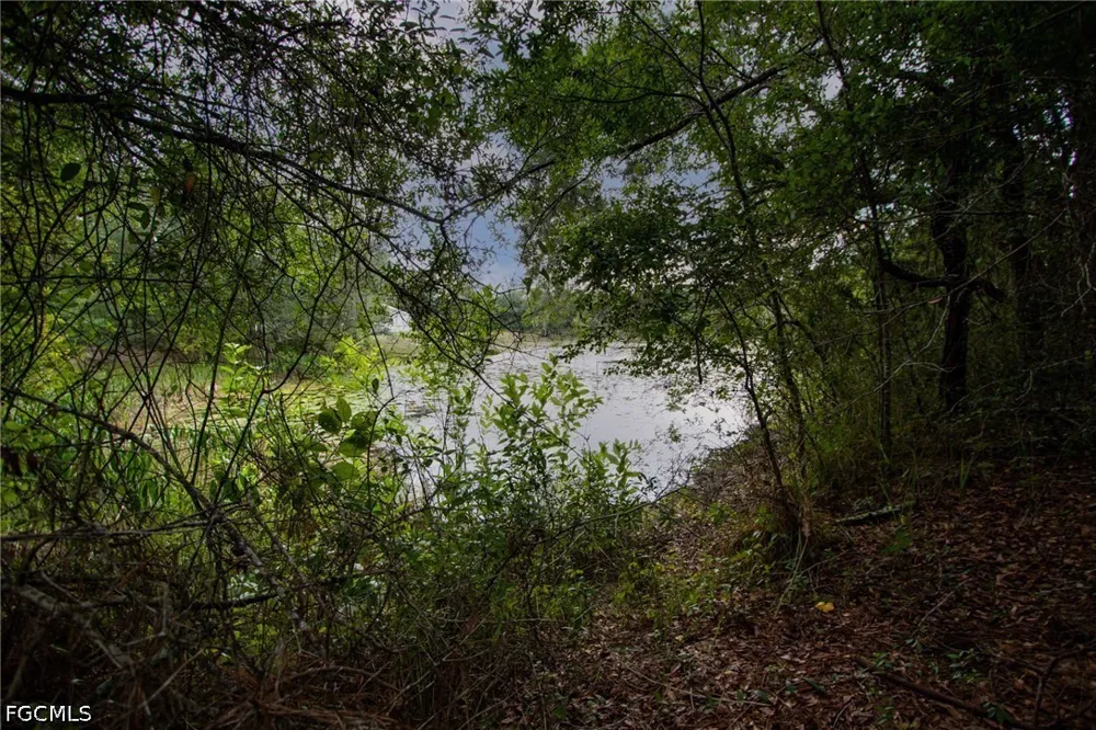 August Avenue Webster, FL 33597