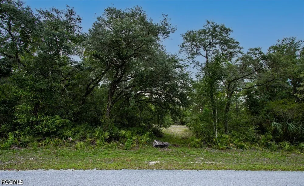 August Avenue Webster, FL 33597