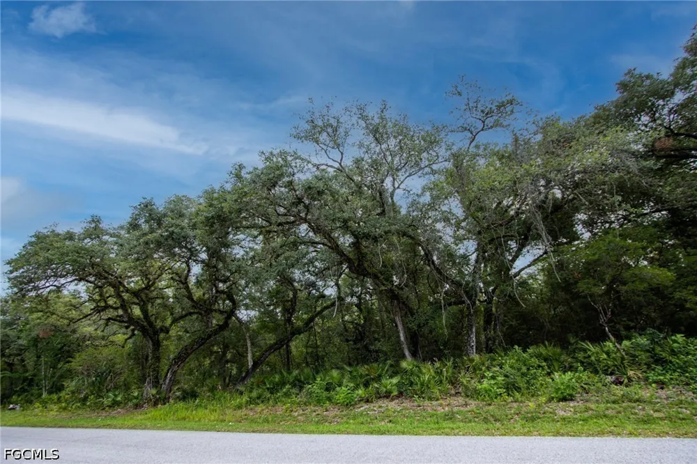August Avenue Webster, FL 33597
