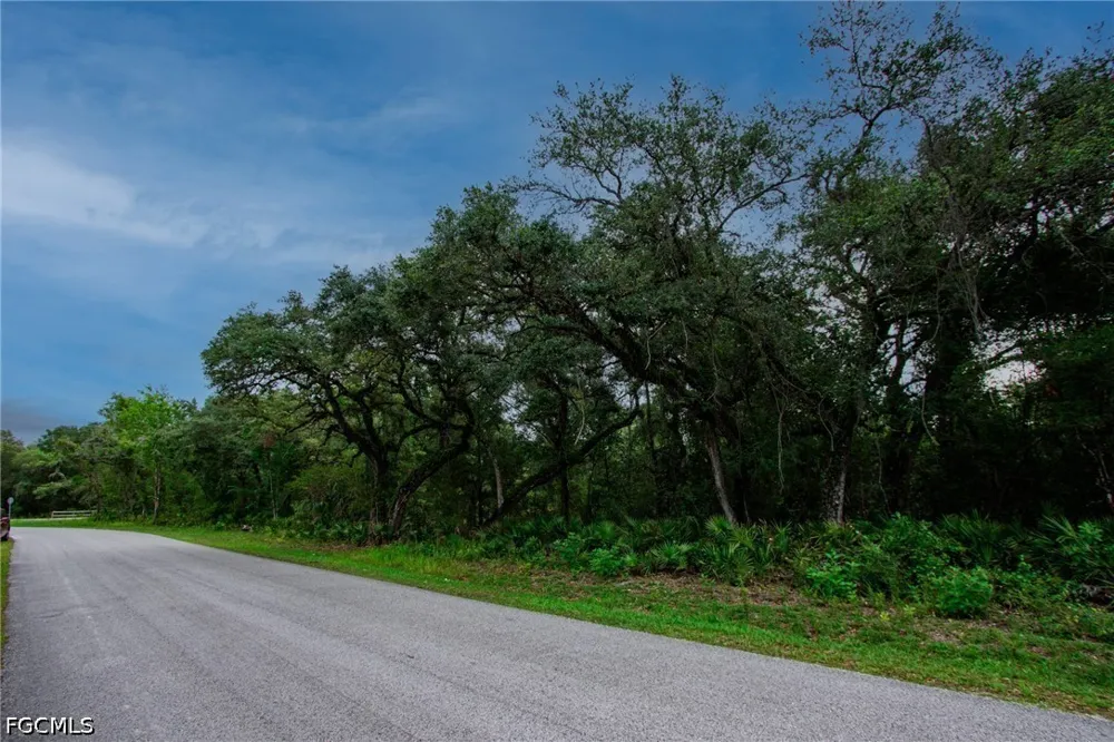 August Avenue Webster, FL 33597