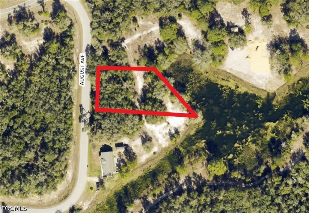 August Avenue Webster, FL 33597