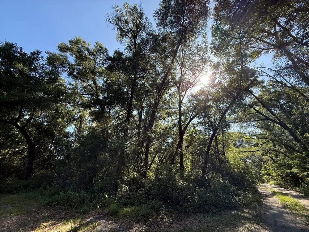 XX SE 147TH COURT Summerfield, FL 34491