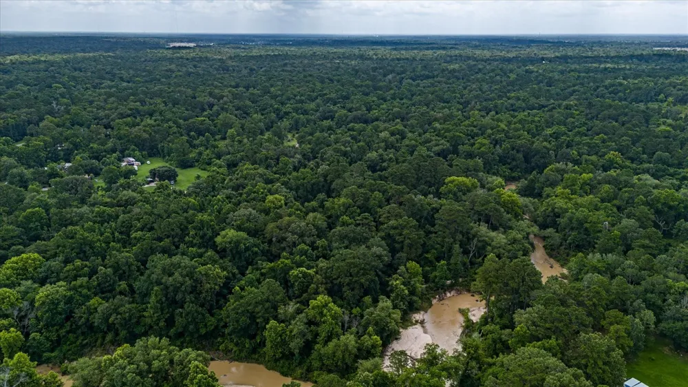 W Magnolia Ln New Caney, TX 77357