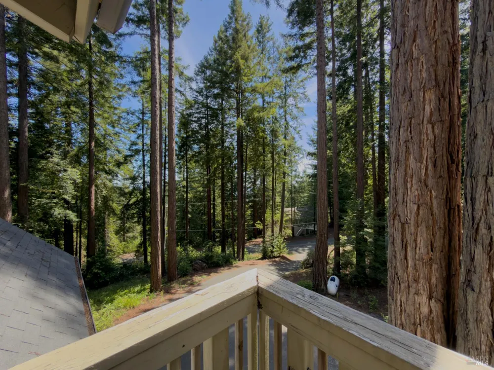 38051 Ocean Ridge Drive Gualala, CA 95445