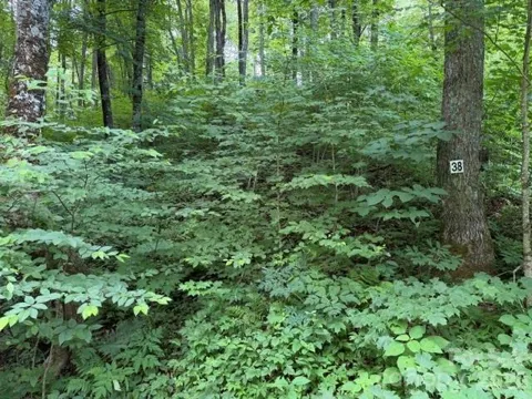 Lot 38 Yanasa Trail #38
