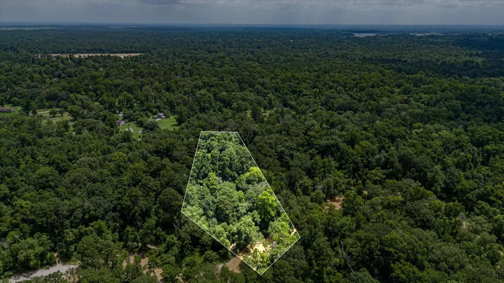 W Magnolia Ln New Caney, TX 77357