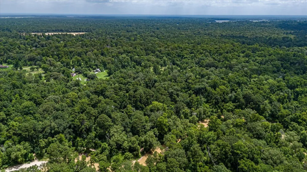 W Magnolia Ln New Caney, TX 77357