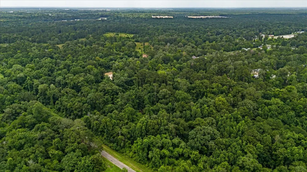 W Magnolia Ln New Caney, TX 77357