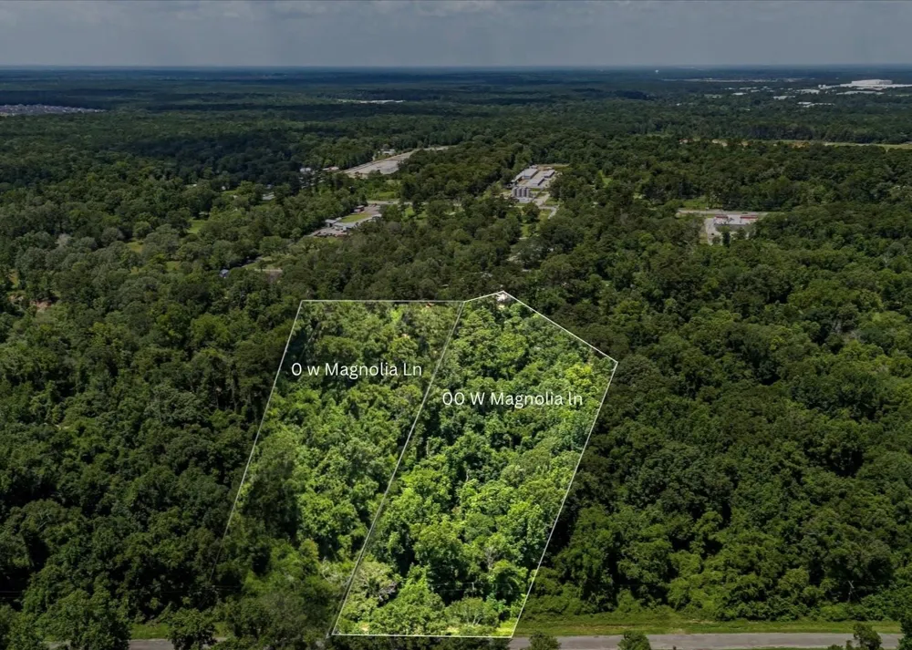W Magnolia Ln New Caney, TX 77357