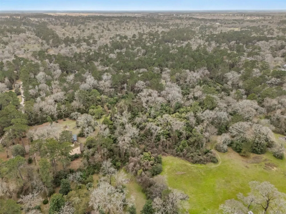 23515 Cardinal Dr Hockley, TX 77447