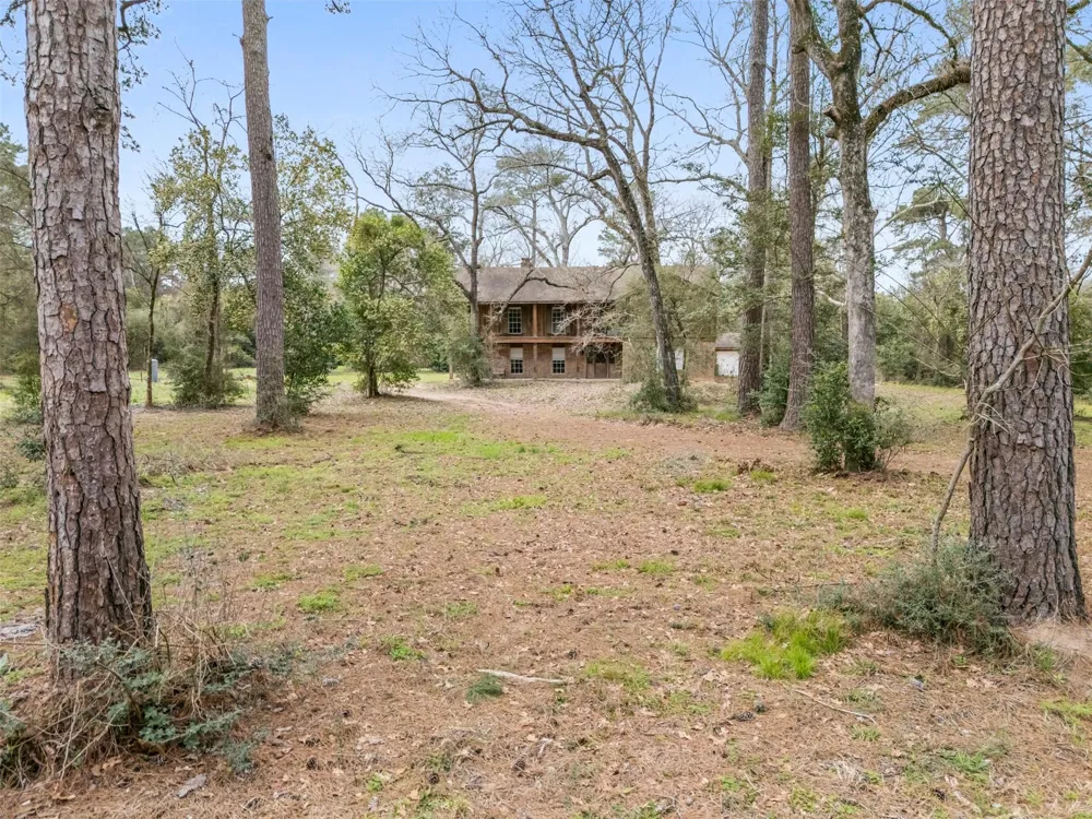 23515 Cardinal Dr Hockley, TX 77447